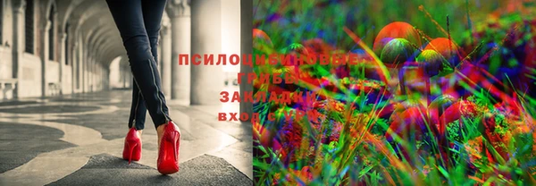 крисы Балахна