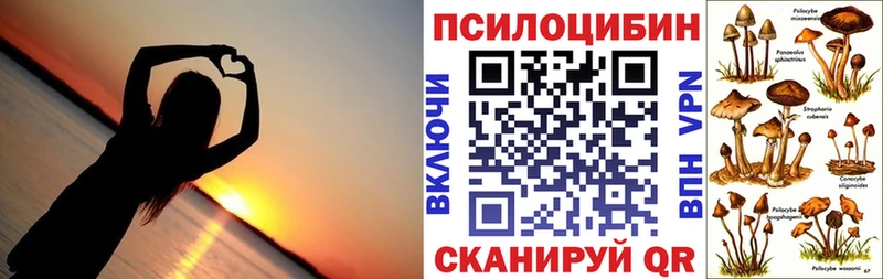 купить наркотик  Гремячинск  Псилоцибиновые грибы прущие грибы 